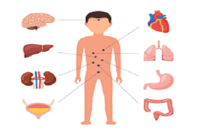 MEDICINA INTERNA